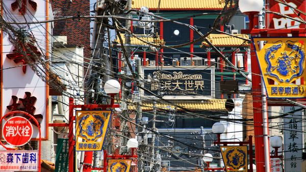 Elephants Out, Donkeys In